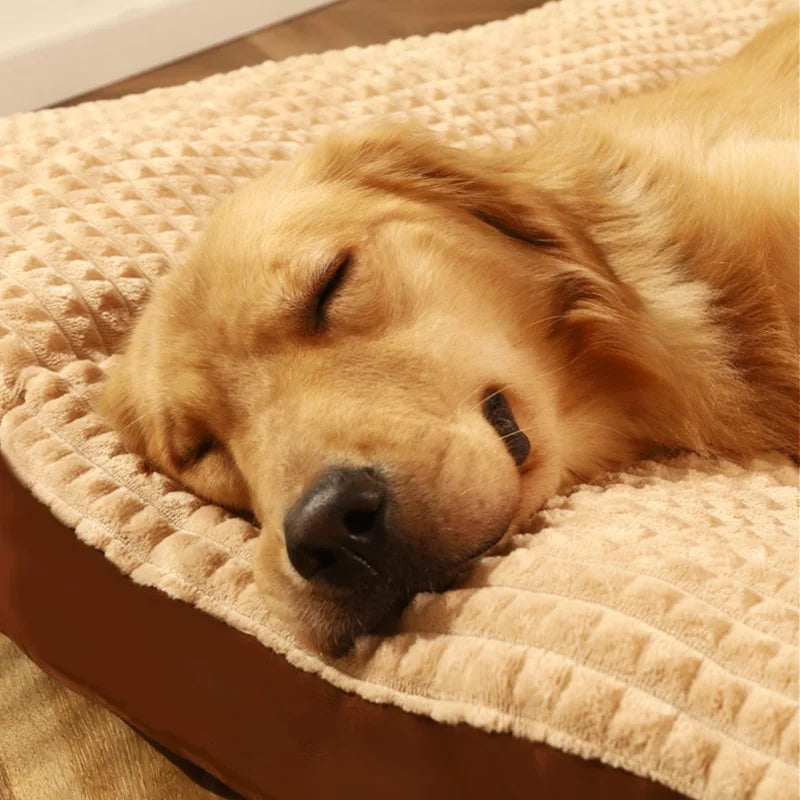 Cuccia imbottita per cani e gatti HOOPET, grigio verde